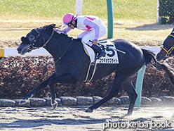 カラーパネル2018年1月6日中山1R 3歳未勝利(コウギョウブライト)