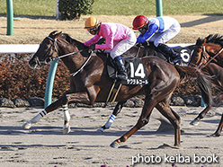 カラープリント(アルミ枠付き)2018年1月6日中山9R 招福ステークス(サクラルコール)