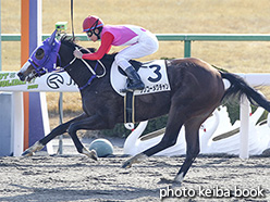 カラープリント(アルミ枠付き)2018年1月7日京都2R 3歳未勝利(シンコーメグチャン)