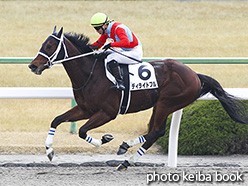 カラープリント(アルミ枠付き)2018年1月7日京都4R 障害未勝利(ディライトフル)