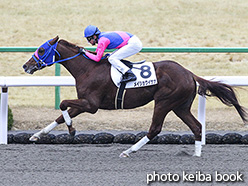 カラーパネル2018年1月8日京都3R 3歳500万下(メイショウイサナ)