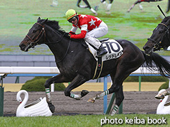 カラーパネル2018年1月8日京都6R 3歳新馬(レッドレオン)