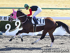 カラープリント(アルミ枠なし)2018年1月13日京都4R 3歳新馬(アポロテネシー)