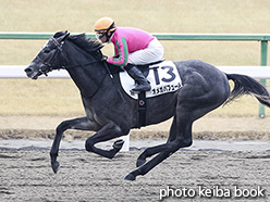 カラーパネル2018年1月14日京都4R 3歳新馬(オメガパフューム)