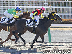 カラープリント(アルミ枠なし)2018年1月14日中京1R 3歳未勝利(コリーヌヴェルト)