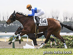 カラーパネル2018年1月21日京都6R 3歳新馬(オールフォーラヴ)