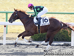 カラーパネル2018年1月27日京都3R 3歳新馬(シヴァージ)