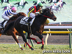 カラーパネル2018年2月4日東京12R 4歳上1000万下(シャンデリアハウス)