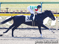 カラーパネル2018年2月11日東京3R 3歳新馬(ヴェスティード)