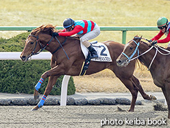 カラープリント(アルミ枠なし)2018年2月17日京都2R 3歳未勝利(タマモシンプロン)