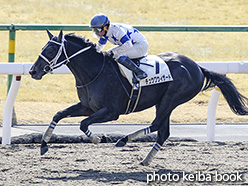 カラープリント(アルミ枠付き)2018年2月17日京都4R 3歳新馬(チュウワウィザード)