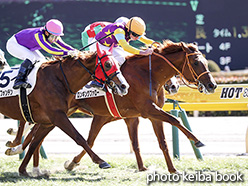 カラーパネル2018年2月18日東京4R 3歳未勝利(ロンギングファロー)