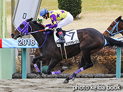 カラーパネル2018年2月25日中山1R 3歳未勝利(カグラヤルージュ)