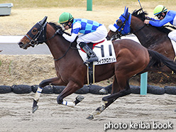 カラープリント(アルミ枠なし)2018年2月25日中山3R 3歳未勝利(ライクアロケット)