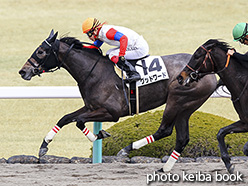 カラーパネル2018年3月4日阪神4R 3歳新馬(グッドワード)