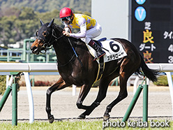 カラーパネル2018年3月4日小倉4R 3歳未勝利(ステラローザ)