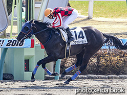 カラープリント(アルミ枠なし)2018年3月4日中山2R 3歳未勝利(ブラウローゼット)