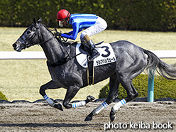 カラープリント(アルミ枠なし)2018年3月11日阪神1R 3歳未勝利(ララプリムヴェール)