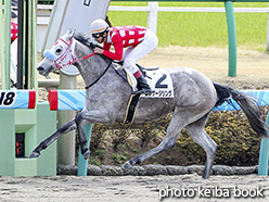 カラープリント(アルミ枠なし)2018年3月18日中山1R 3歳未勝利(エンゲージリング)