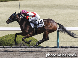 カラープリント(アルミ枠なし)2018年3月24日阪神1R 3歳未勝利(ヴィグール)