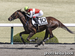 カラープリント(アルミ枠付き)2018年3月24日阪神2R 3歳未勝利(ショウナンアンビル)