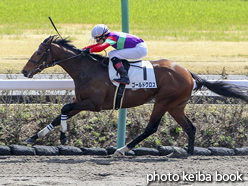 カラープリント(アルミ枠なし)2018年3月24日中山1R 3歳未勝利(ゴールドクロス)