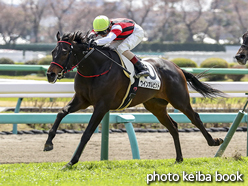 カラーパネル2018年3月24日中山3R 3歳未勝利(ウインオルビット)