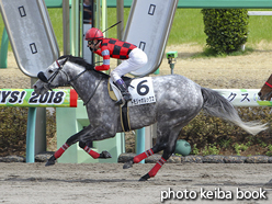 カラープリント(アルミ枠なし)2018年3月24日中山6R 4歳上500万下(トモジャポルックス)