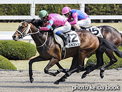 カラープリント(アルミ枠なし)2018年3月25日阪神2R 3歳未勝利(ハルキストン)