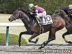 カラープリント(アルミ枠なし)2018年3月25日阪神3R 3歳未勝利(マンナム)