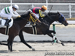 カラーパネル2018年3月25日中京6R 4歳上500万下(シャープシューター)