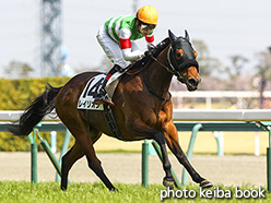 カラーパネル2018年3月25日中京7R 4歳上500万下(レイリオン)