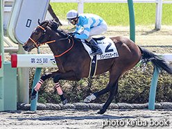 カラーパネル2018年3月25日中山2R 3歳未勝利(ジョイズエターナル)