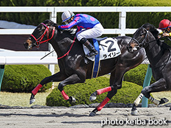 カラーパネル2018年3月31日阪神2R 3歳未勝利(ライリー)