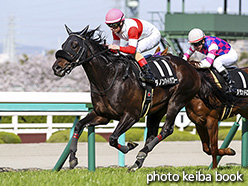 カラーパネル2018年3月31日阪神10R 仲春特別(ダノンハイパワー)