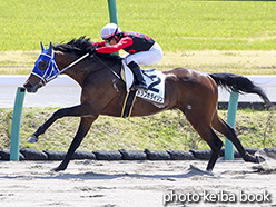 カラープリント(アルミ枠なし)2018年3月31日中山2R 3歳未勝利(トップホライゾン)