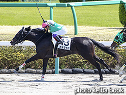 カラーパネル2018年3月31日中山4R 3歳未勝利(ネオダラス)