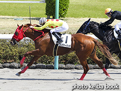 カラーパネル2018年3月31日中山6R 3歳500万下(クレヴァーパッチ)