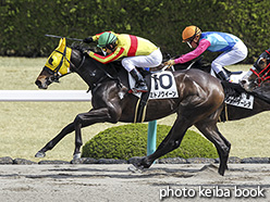 カラーパネル2018年4月1日阪神1R 3歳未勝利(ミトノクイーン)