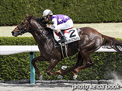 カラーパネル2018年4月1日阪神2R 3歳未勝利(サンライズフルメン)