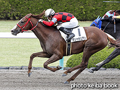 カラーパネル2018年4月8日阪神6R 4歳上500万下(アシャカリアン)