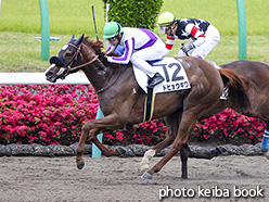 カラーパネル2018年4月15日中山1R 3歳未勝利(ドヒョウギワ)