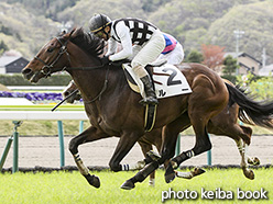 カラープリント(アルミ枠付き)2018年4月15日福島4R 障害未勝利(ルー)