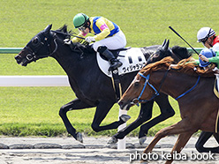 カラープリント(アルミ枠付き)2018年4月22日京都2R 3歳未勝利(ヴィジャランス)