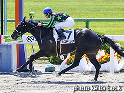 カラープリント(アルミ枠付き)2018年5月5日京都1R 3歳未勝利(ミスティック)