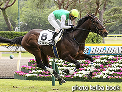 カラープリント(アルミ枠付き)2018年5月5日新潟1R 障害未勝利(クロフネフリート)