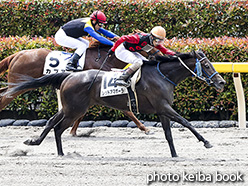 カラープリント(アルミ枠付き)2018年5月12日東京1R 3歳未勝利(レッドアマポーラ)