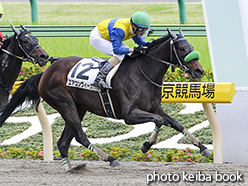 カラープリント(アルミ枠付き)2018年5月13日東京1R 3歳未勝利(エアコンヴィーナ)