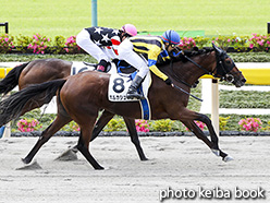 カラープリント(アルミ枠付き)2018年5月19日東京1R 3歳未勝利(ポルカシュネル)