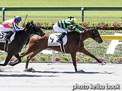 カラーパネル2018年5月20日東京1R 3歳未勝利(シングシングシング)